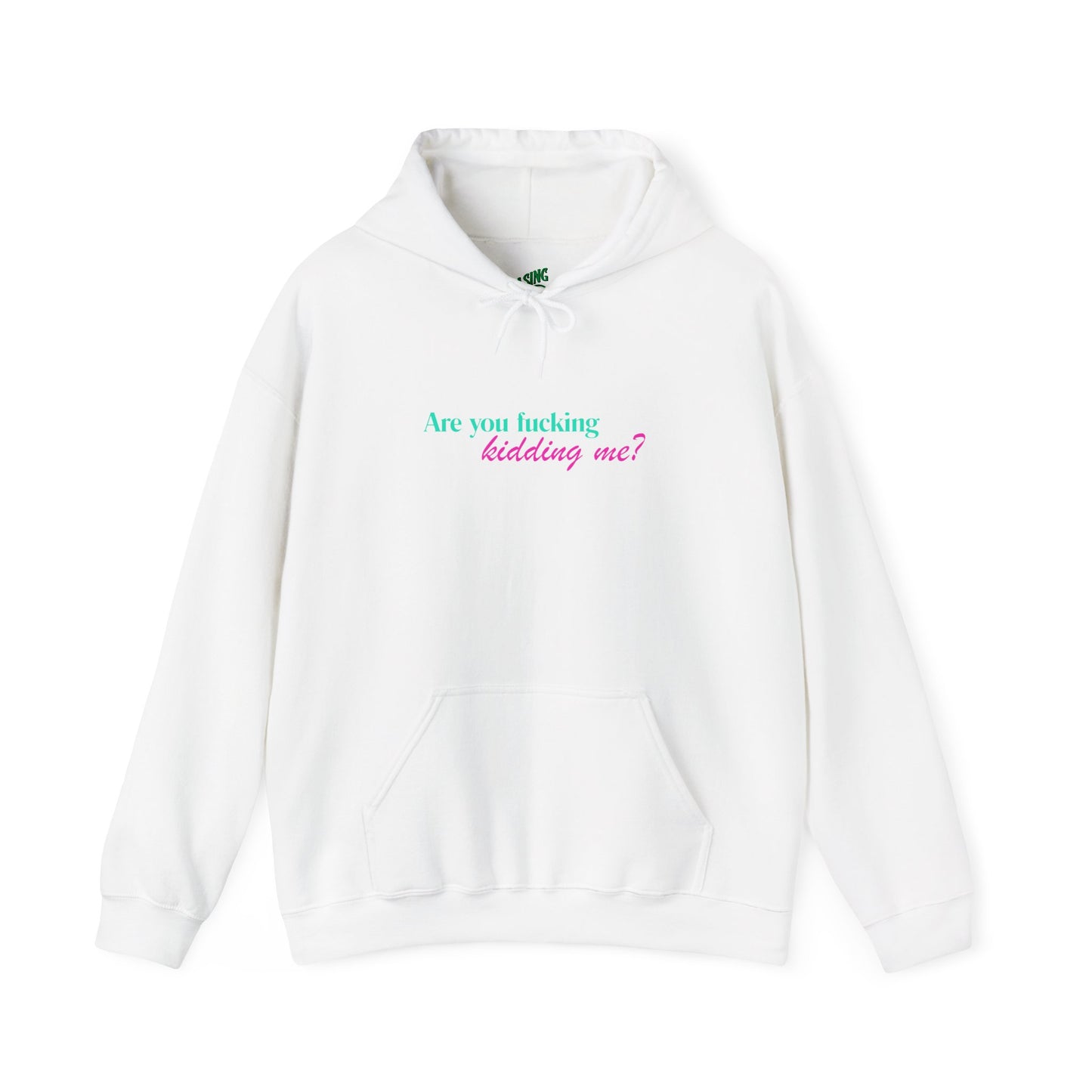 Are You Kidding Me - Unisex Hoodie