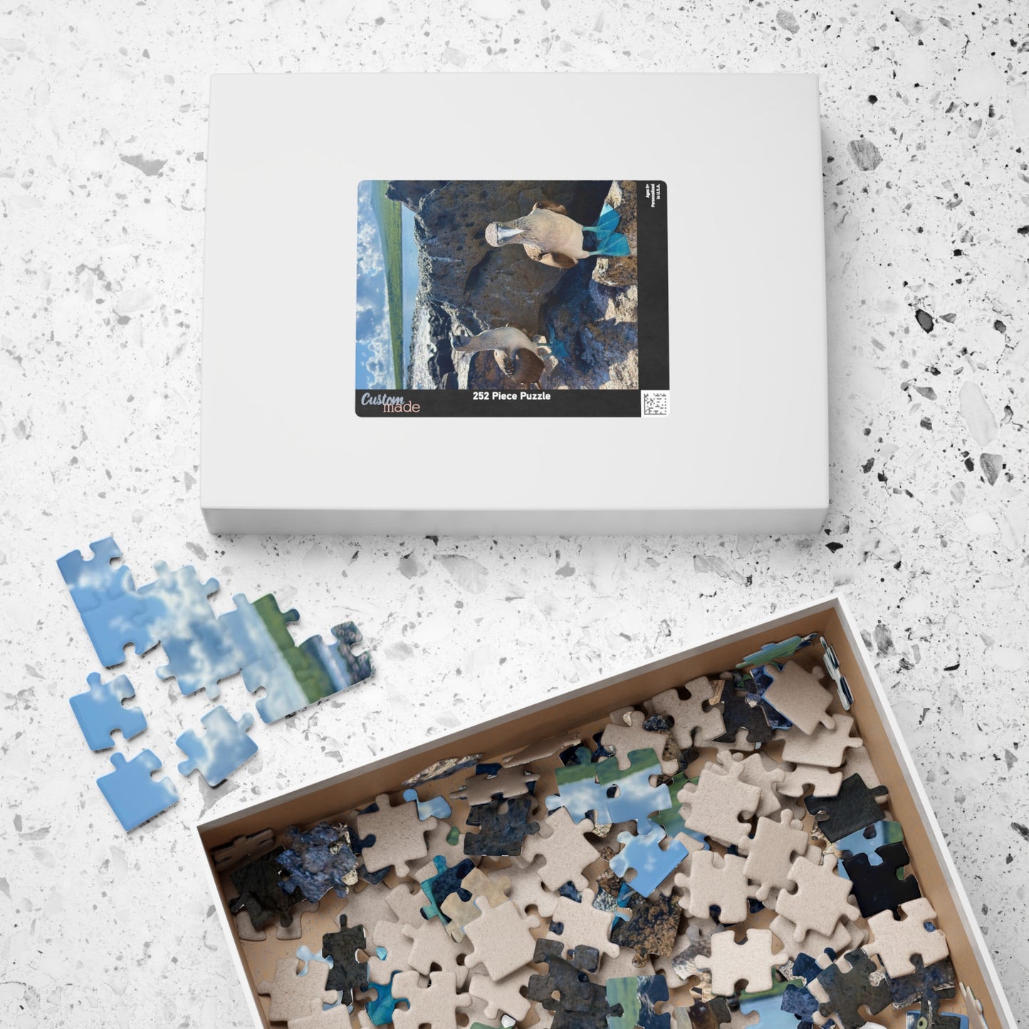 Galapagos Blue-Footed Booby - Jigsaw Puzzle — 110/252/520 Pieces