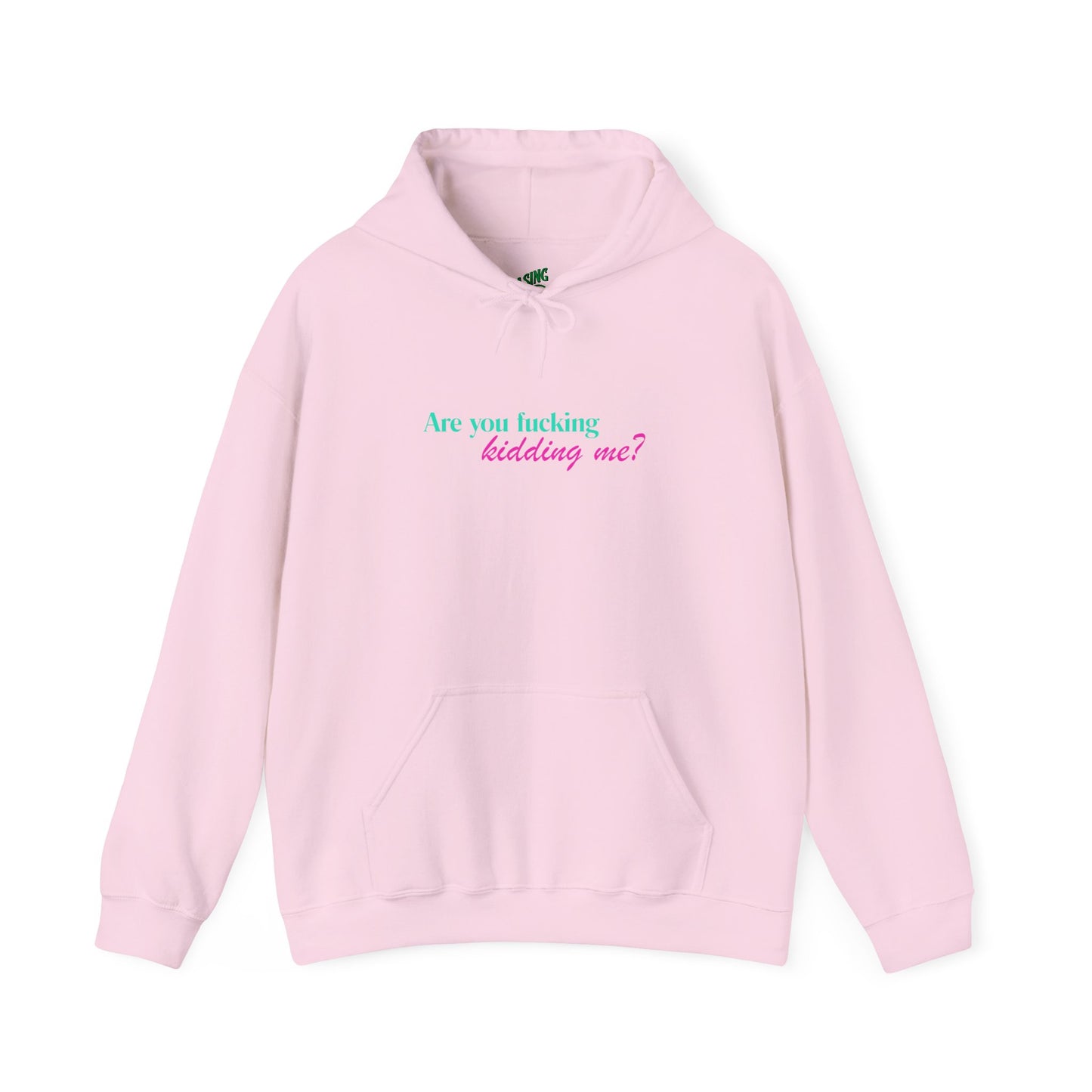 Are You Kidding Me - Unisex Hoodie