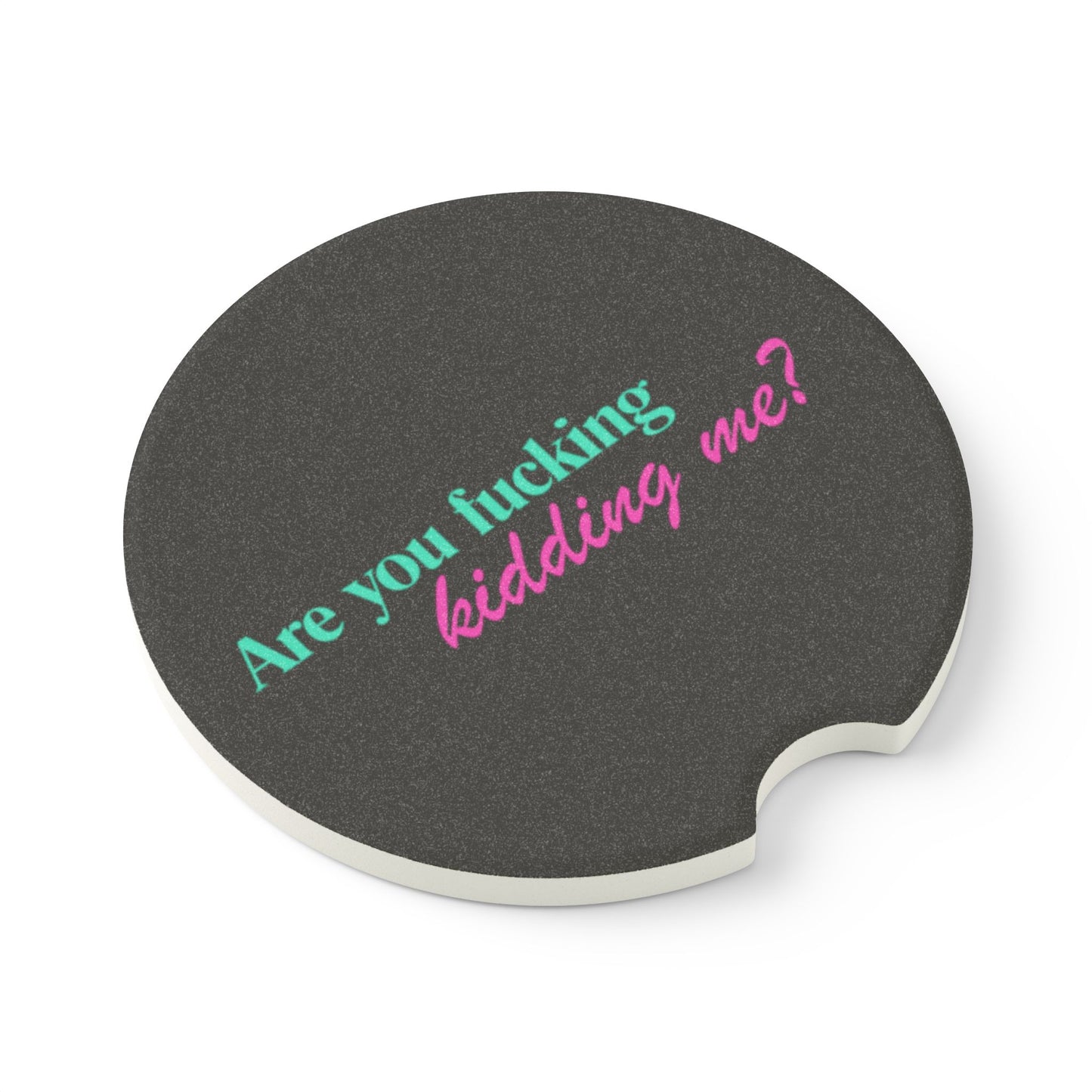 Are You Kidding Me - Soapstone Car Coaster