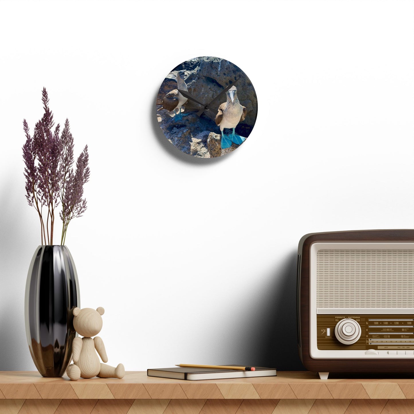 Galapagos Blue-Footed Booby - Acrylic Wall Clock