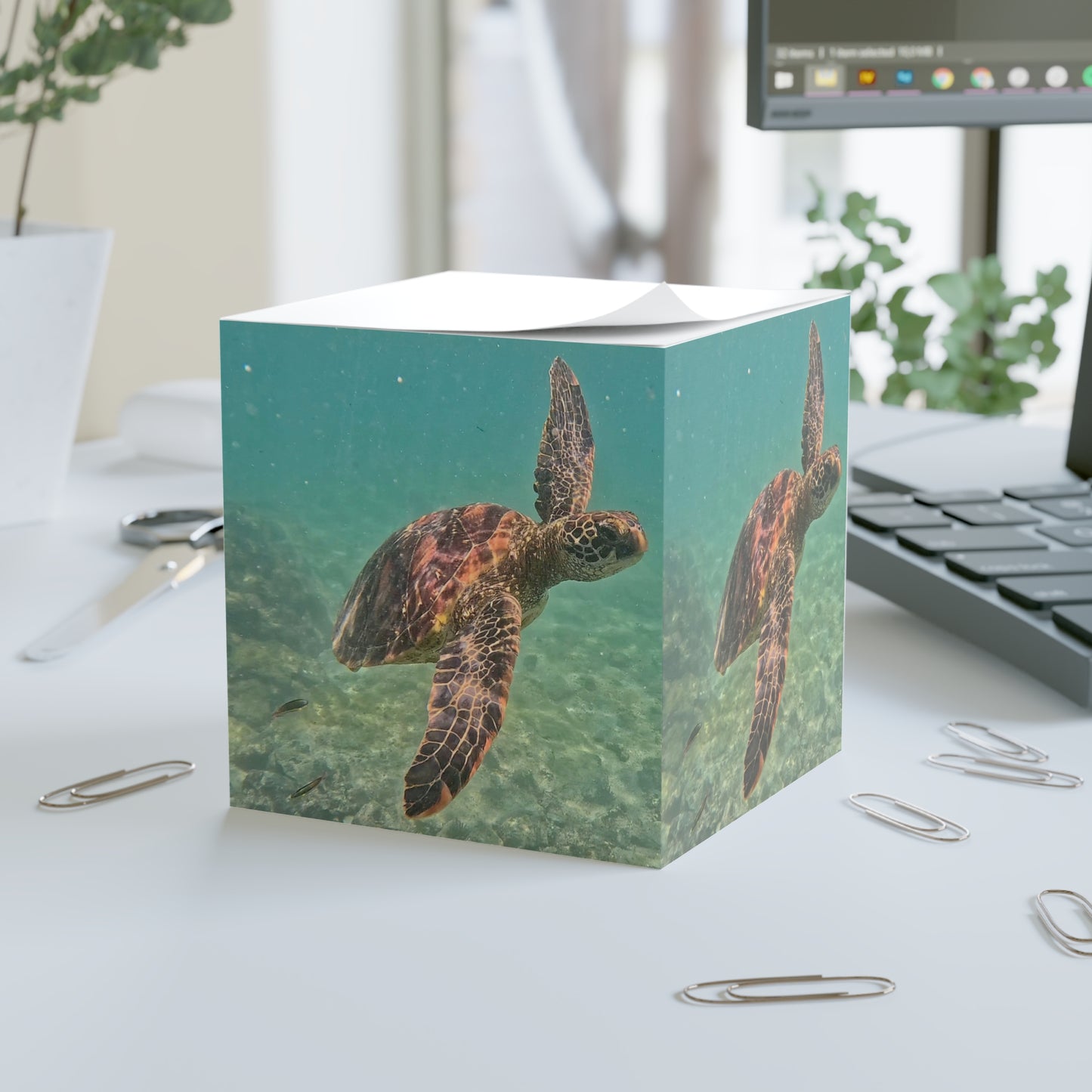 Galapagos Sea Turtle - Sticky Note Cube