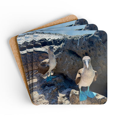 Blue-Footed Booby Coastal Coaster Set — Hardboard Coasters with Cork Bottom (Set of 4)