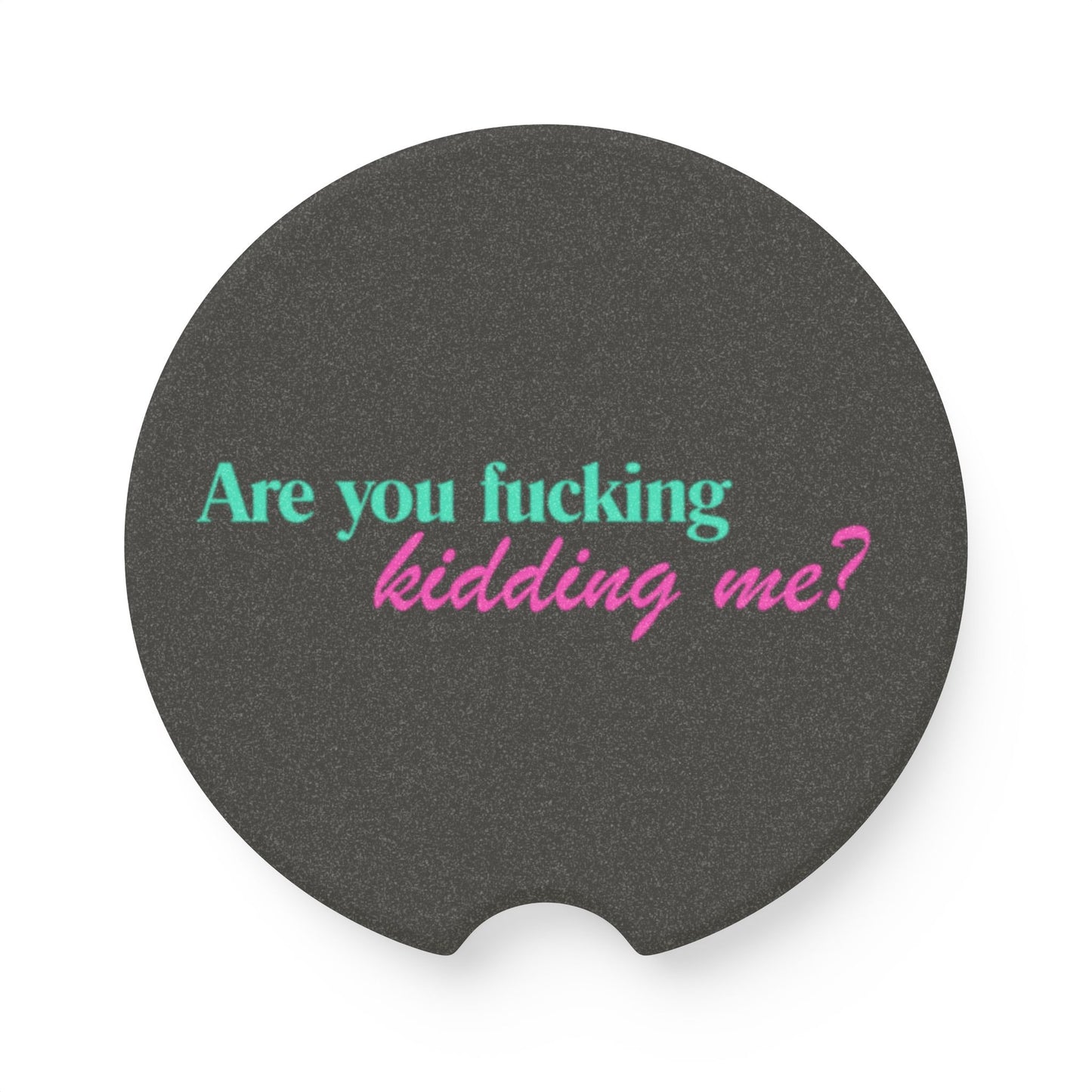 Are You Kidding Me - Soapstone Car Coaster