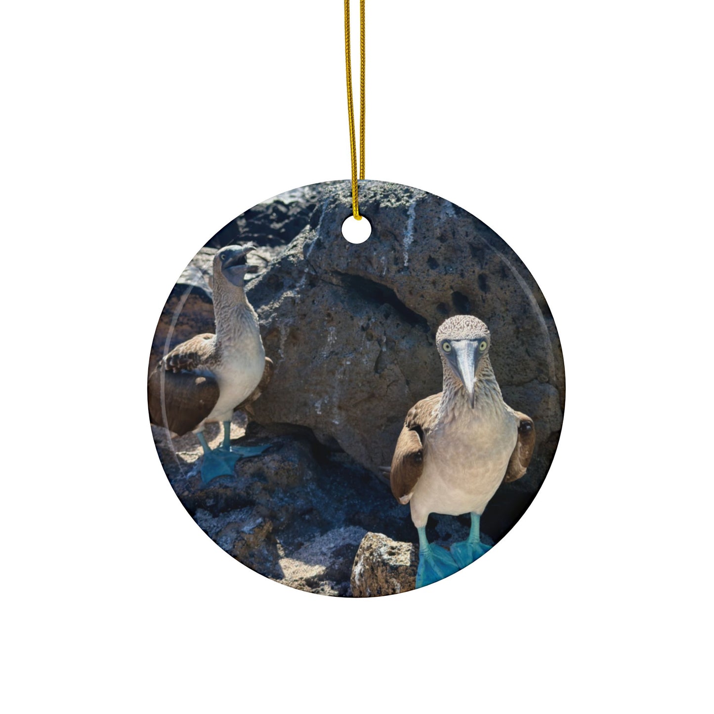 Blue-Footed Booby Ceramic Double-Sided Ornament — Travel with Chasing Oz