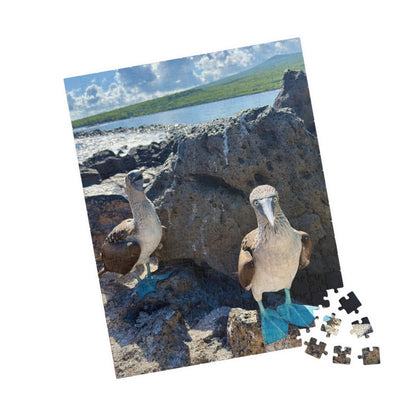 Galapagos Blue-Footed Booby - Jigsaw Puzzle — 110/252/520 Pieces