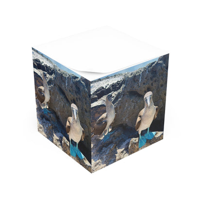 Galapago's Blue-Footed Booby – Scenic Note Cube