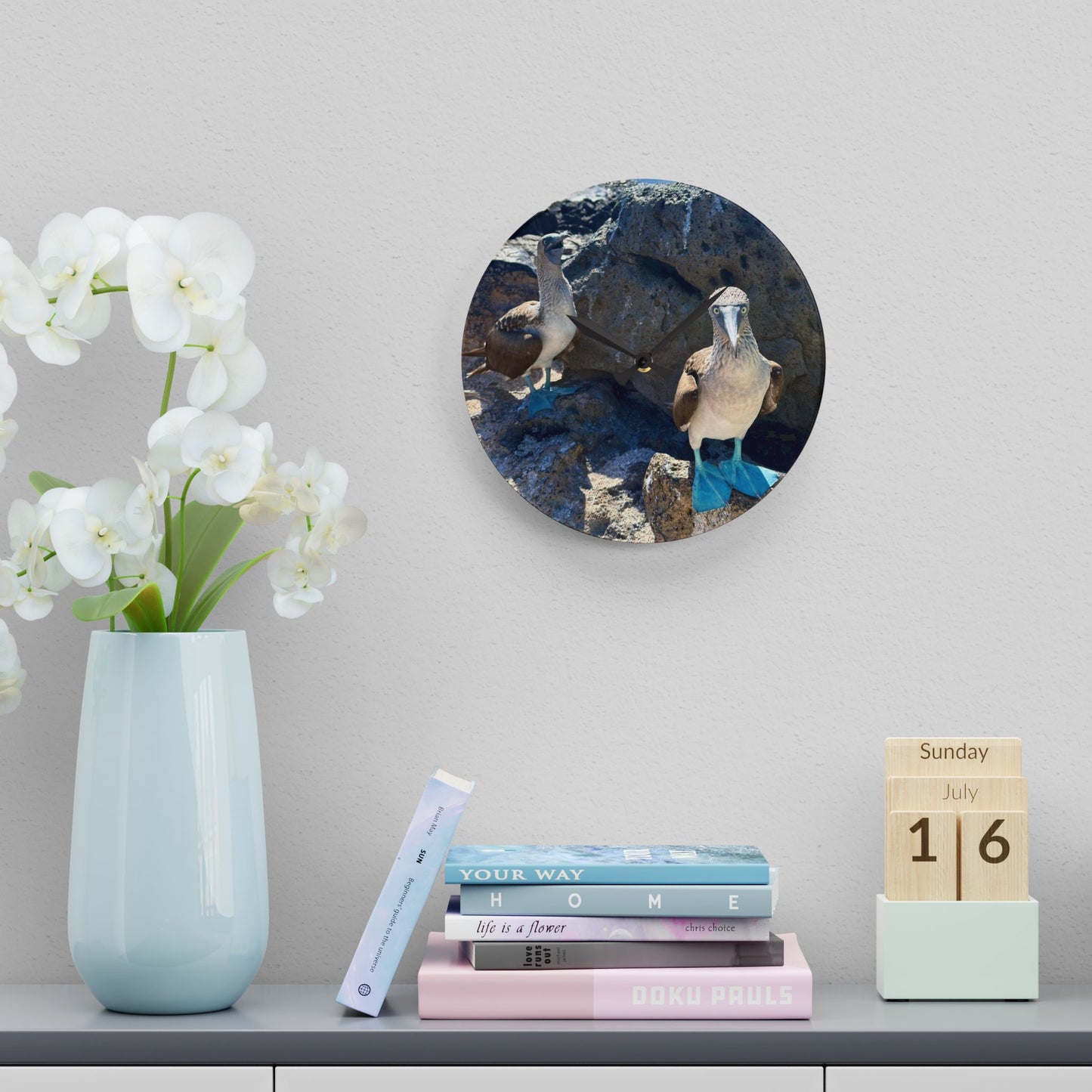 Galapagos Blue-Footed Booby - Acrylic Wall Clock