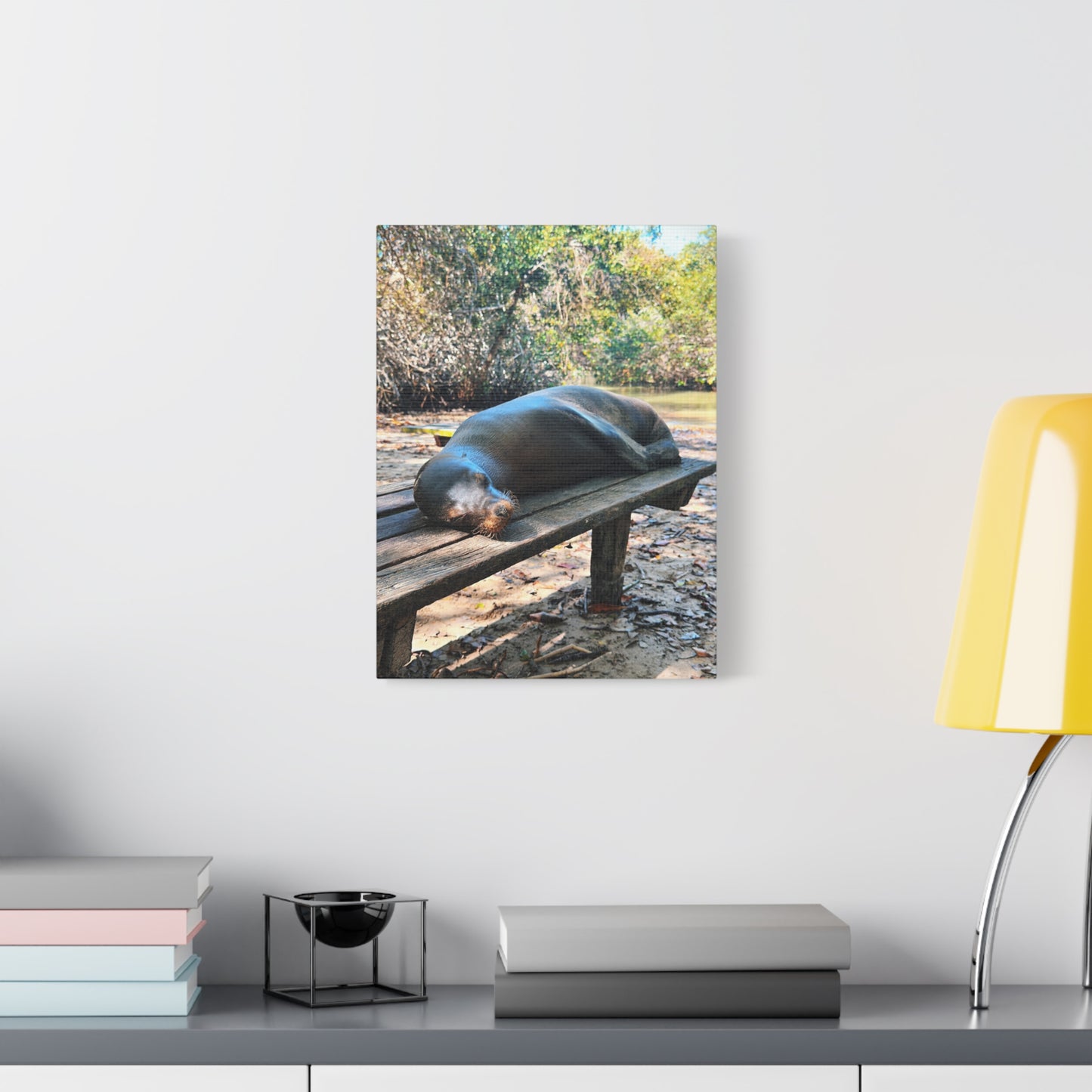 Galapagos Naptime by Chasing Oz - Stretched Canvas Wrap