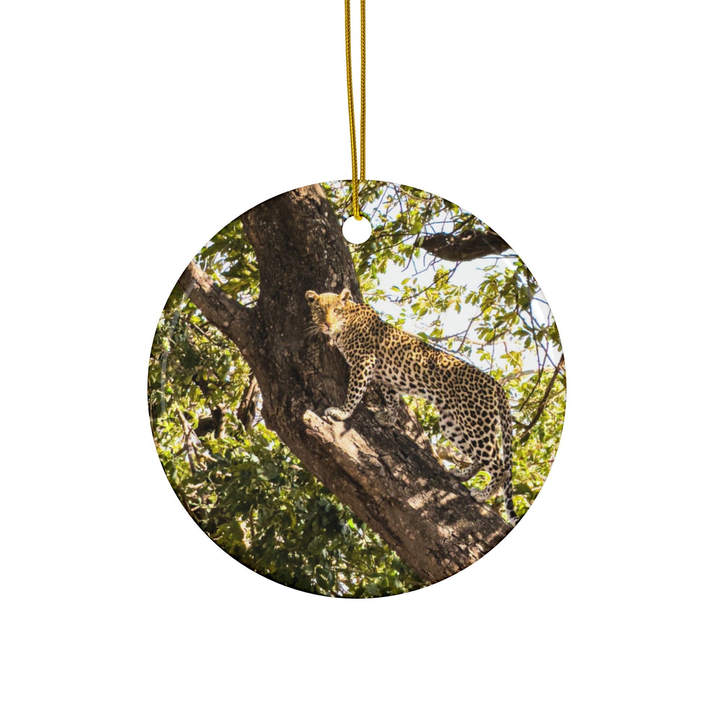 Safari Scenes - Ceramic Ornaments