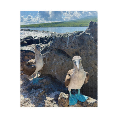 Galapagos Blue-Footed Booby - Jigsaw Puzzle — 110/252/520 Pieces