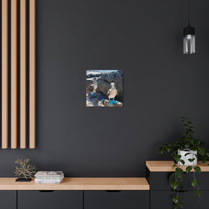 Galapagos Blue-Footed Booby - Metal Wall Art
