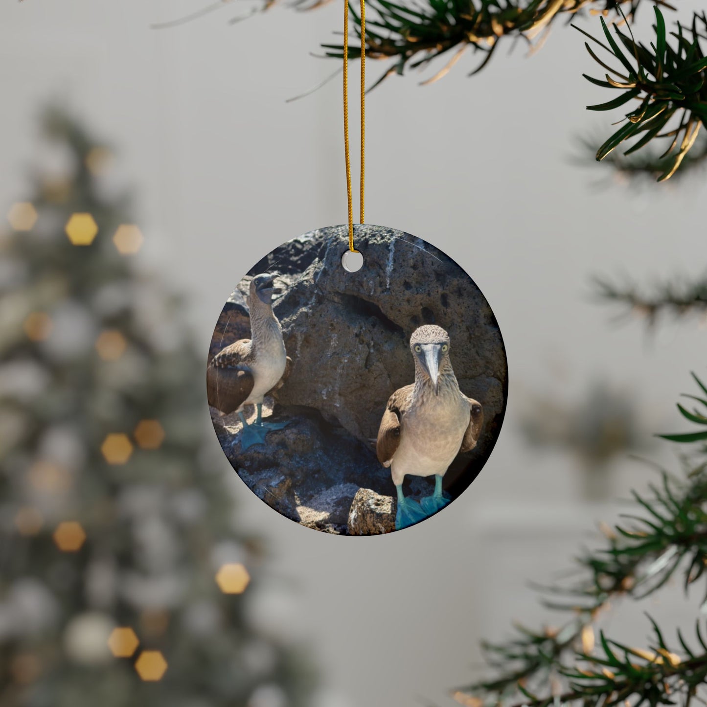 Blue-Footed Booby Ceramic Double-Sided Ornament — Travel with Chasing Oz