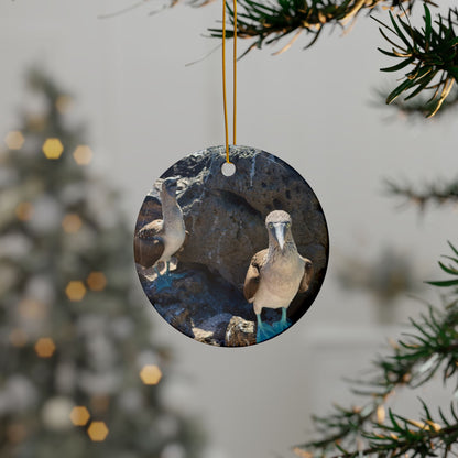 Blue-Footed Booby Ceramic Double-Sided Ornament — Travel with Chasing Oz
