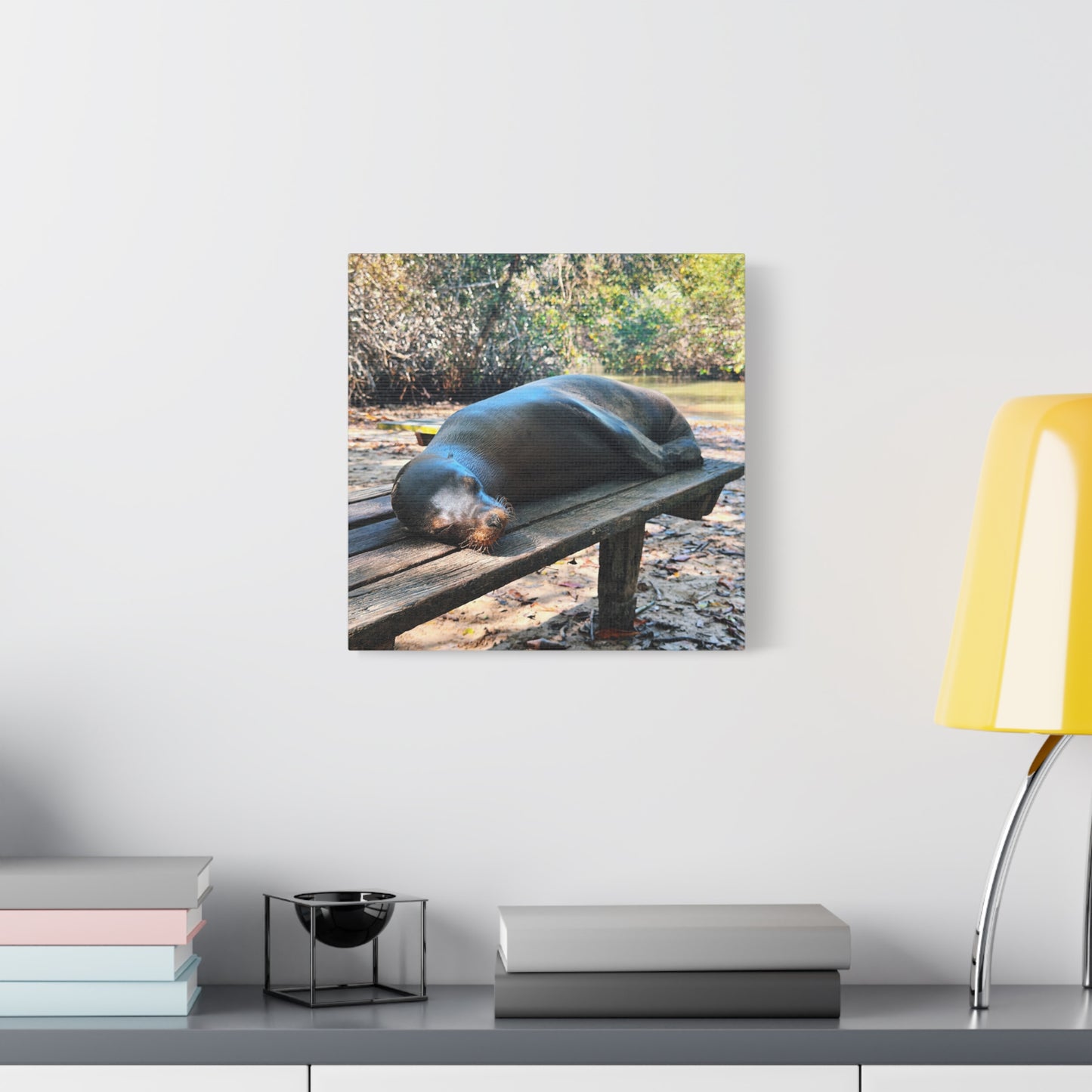 Galapagos Naptime by Chasing Oz - Stretched Canvas Wrap