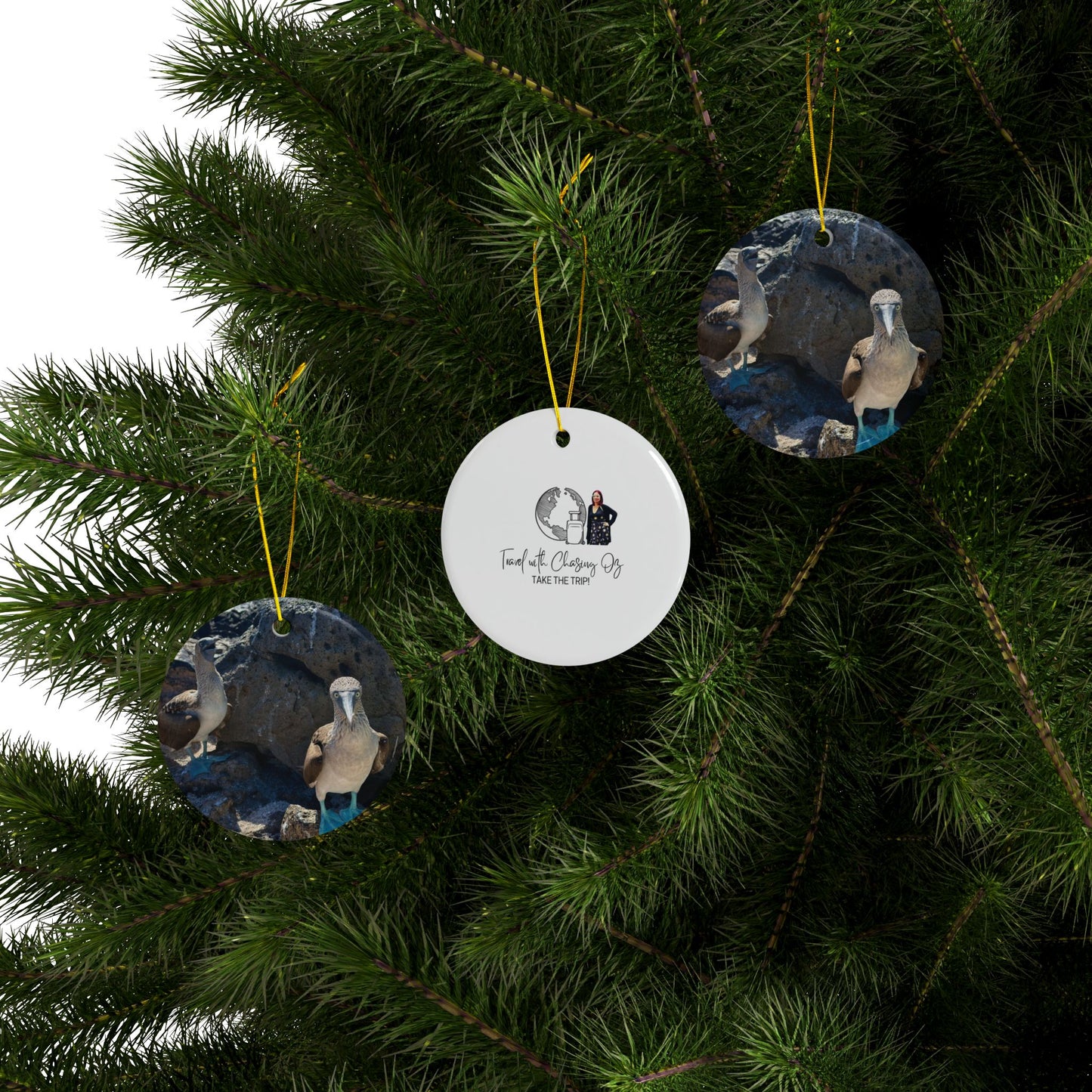 Blue-Footed Booby Ceramic Double-Sided Ornament — Travel with Chasing Oz