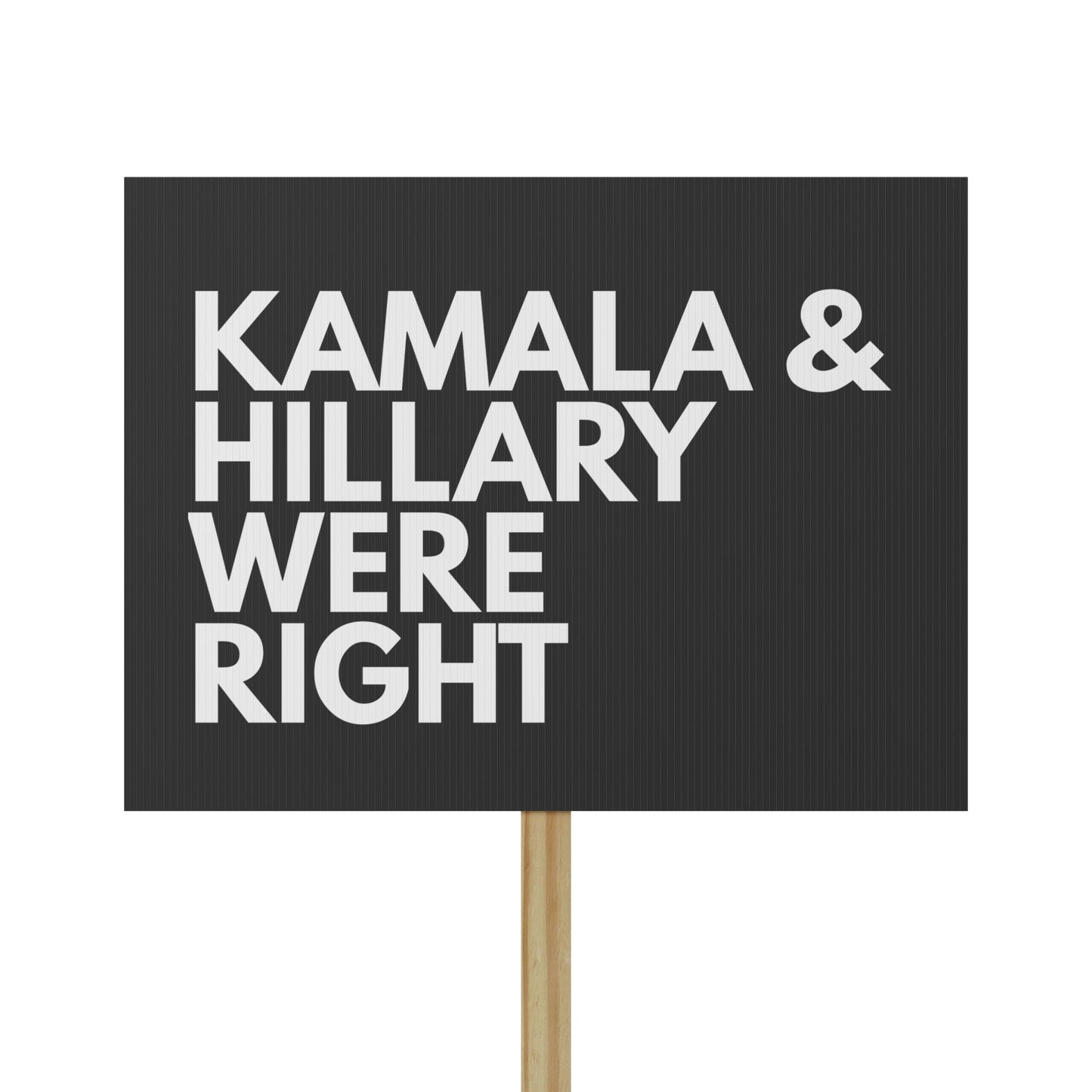 Kamala & Hillary Were Right - Protest Sign