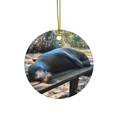 Galapagos Seal Lion Napping - Ceramic Ornaments