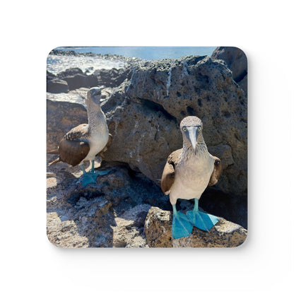 Blue-Footed Booby Coastal Coaster Set — Hardboard Coasters with Cork Bottom (Set of 4)