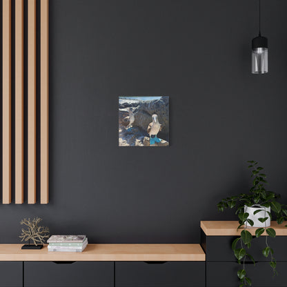 Galapagos Blue-Footed Booby - Canvas Matte Print (Stretched 1.25")