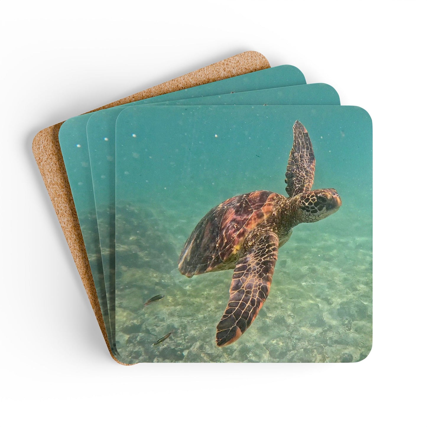 Galapagos Green Sea Turtle Coasters (Set of 4)