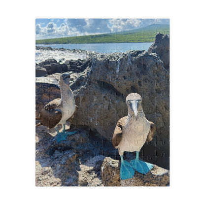 Galapagos Blue-Footed Booby - Jigsaw Puzzle — 110/252/520 Pieces