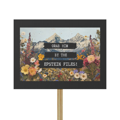 Grab Him by the Epstein Files - Protest Sign