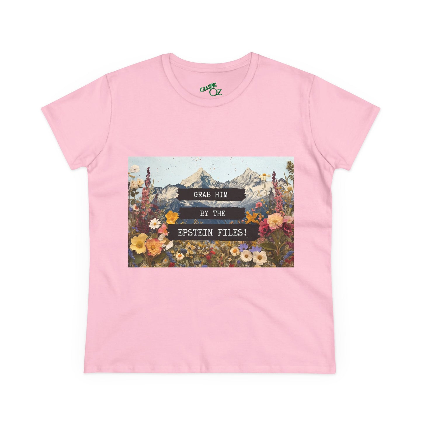 Grab Him by the Files - Women's Fitted Tee