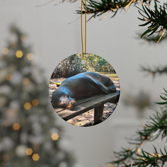 Galapagos Seal Lion Napping - Ceramic Ornaments