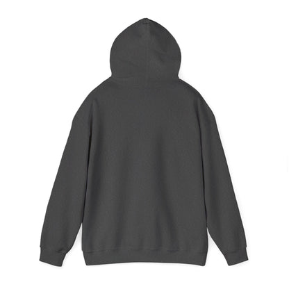 I Could Be Meaner - Unisex Hoodie